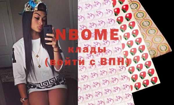 хмурый Белокуриха