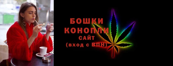 хмурый Белокуриха
