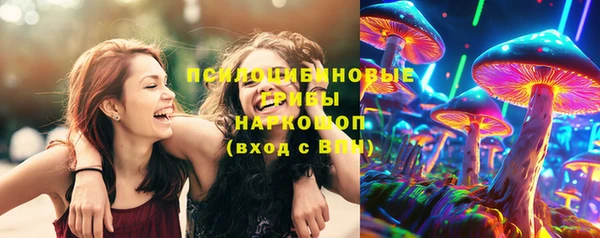 хмурый Белокуриха