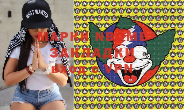 хмурый Белокуриха