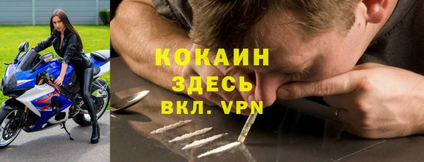 хмурый Белокуриха